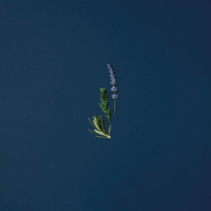 acqua gio h.profondo eau de parfum