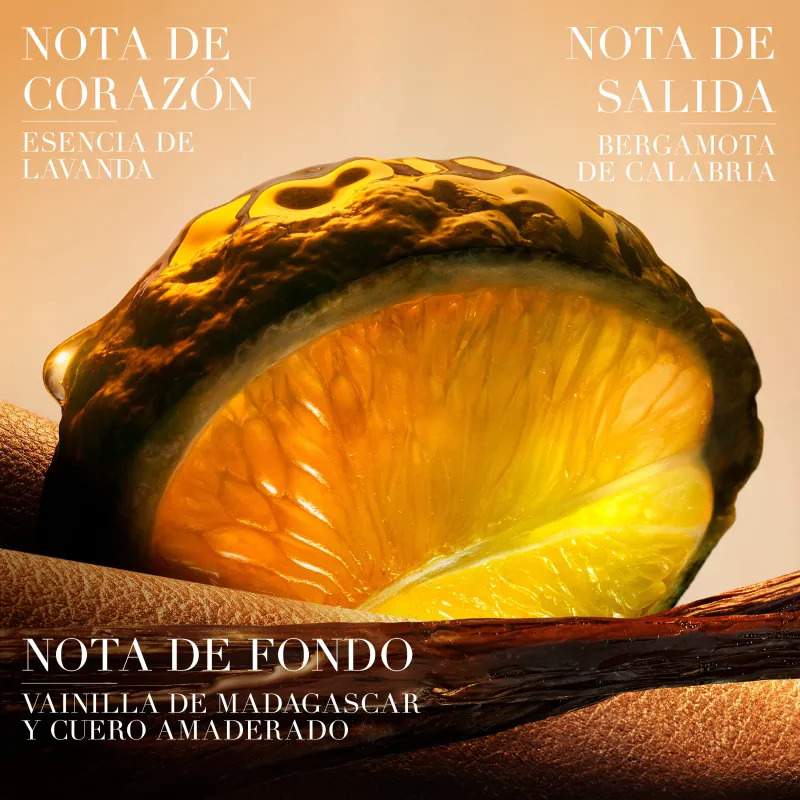 armani i will eau de parfum