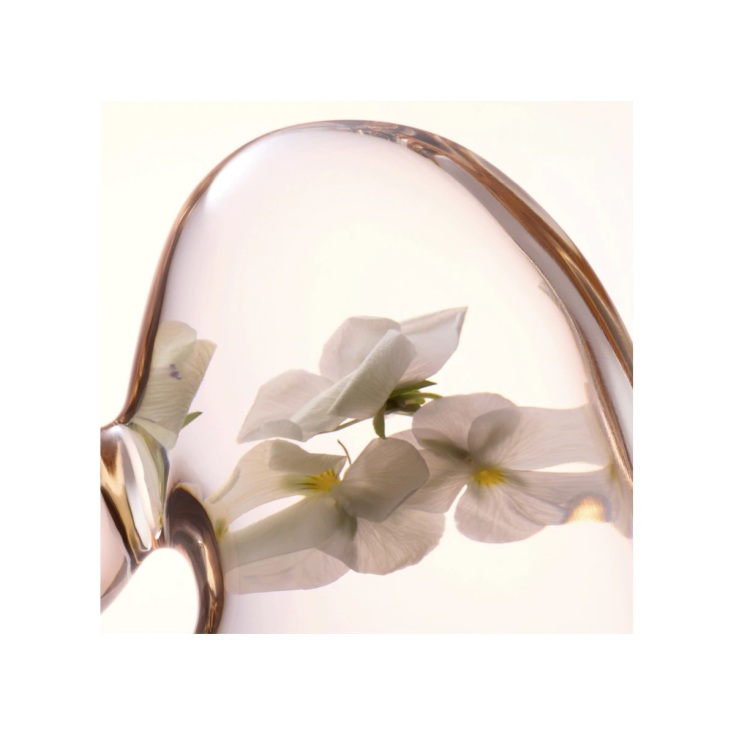 lancaster skin essentials softening perfecting toner 400ml lancaster skin essentials softening perfecting toner 400ml