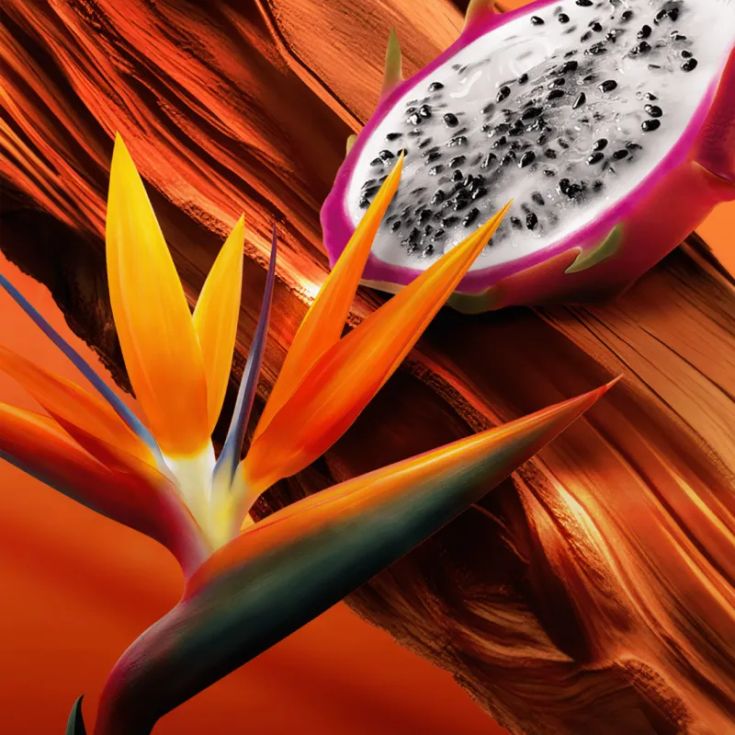 escada bali paradise escada bali paradise