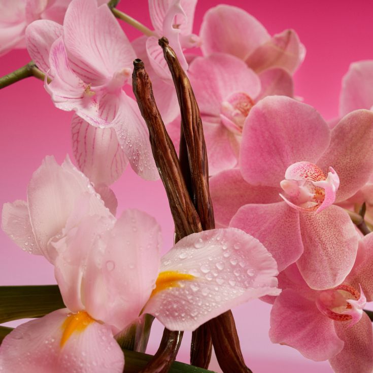 calvin klein euphoria magnetic elixir parfum intense