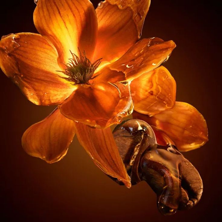 boss the scent for her eau de parfum intense