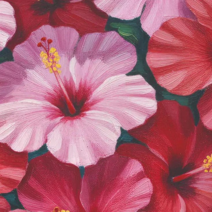 house of theom hidden hibiscus eau de parfum 75ml house of theom hidden hibiscus eau de parfum 75ml
