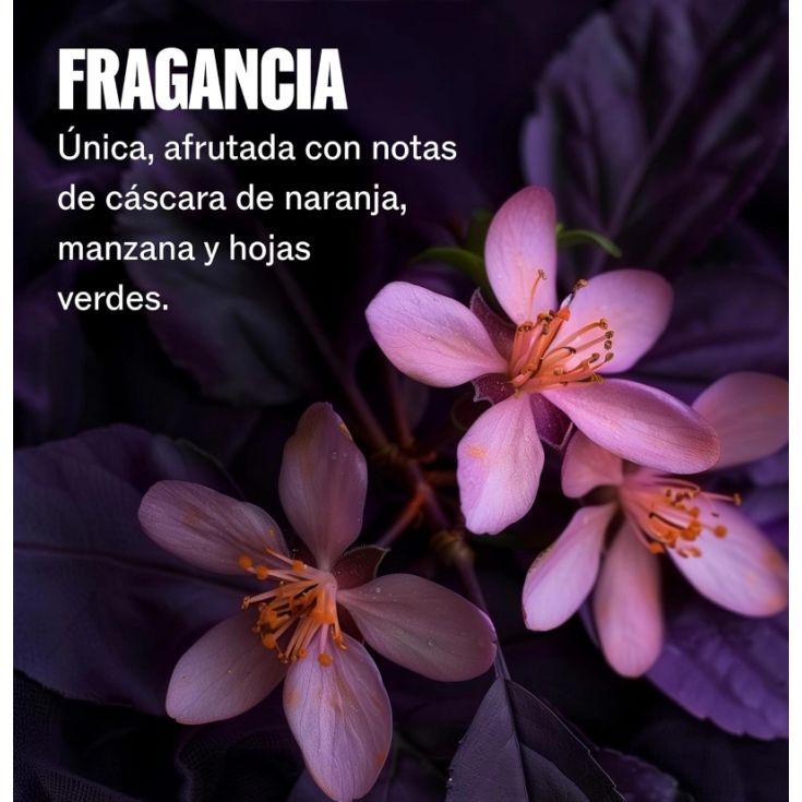 wella ultimate color acondicionador teñidos 200ml wella ultimate color acondicionador teñidos 200ml