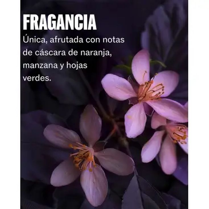 wella ultimate color mascarilla sin aclarado