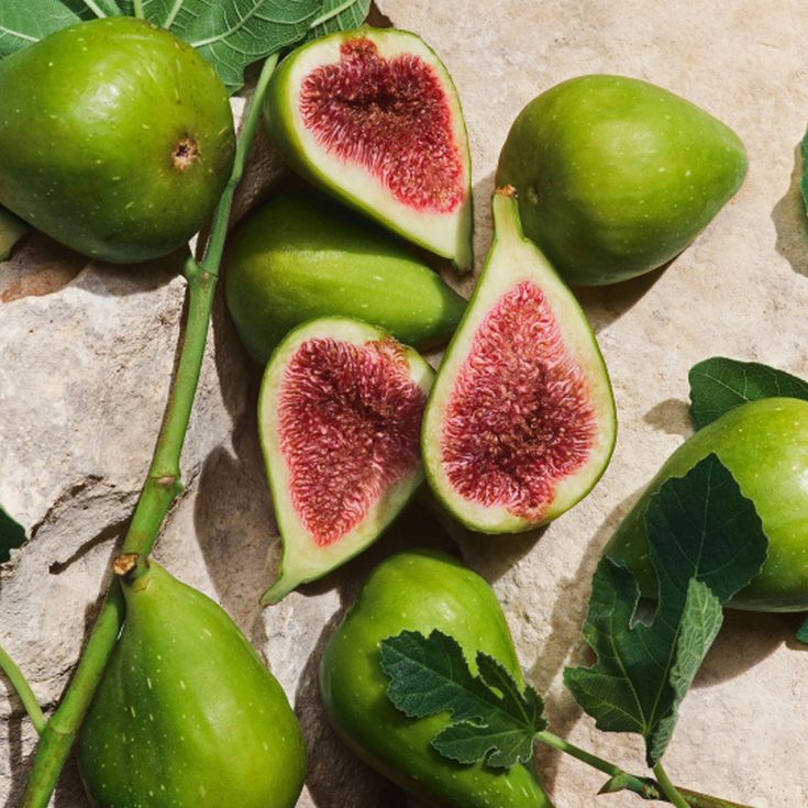 dolce&gabbana light blue capri in love male eau de parfum dolce&gabbana light blue capri in love male eau de parfum