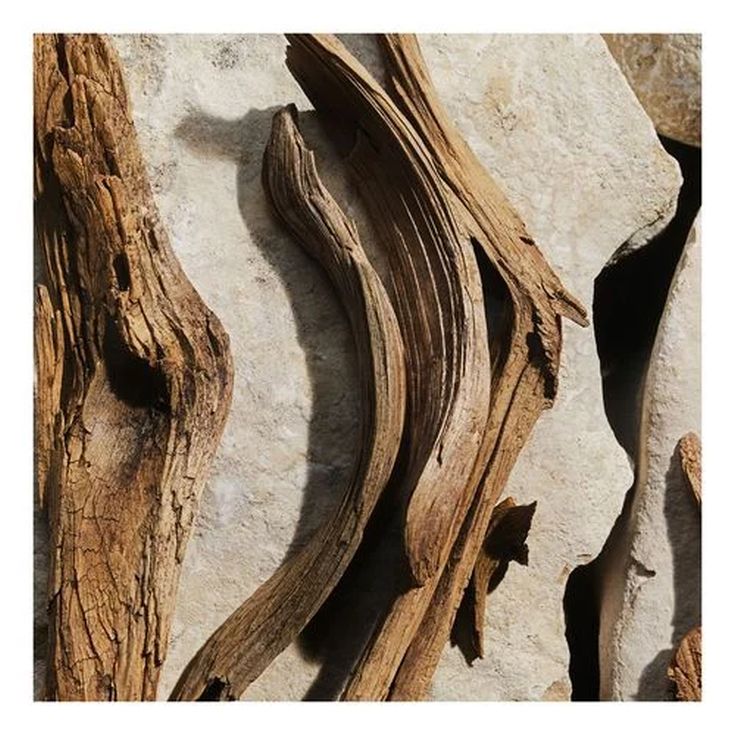 dolce & gabbana light blue eau de toilette cofre 3 piezas