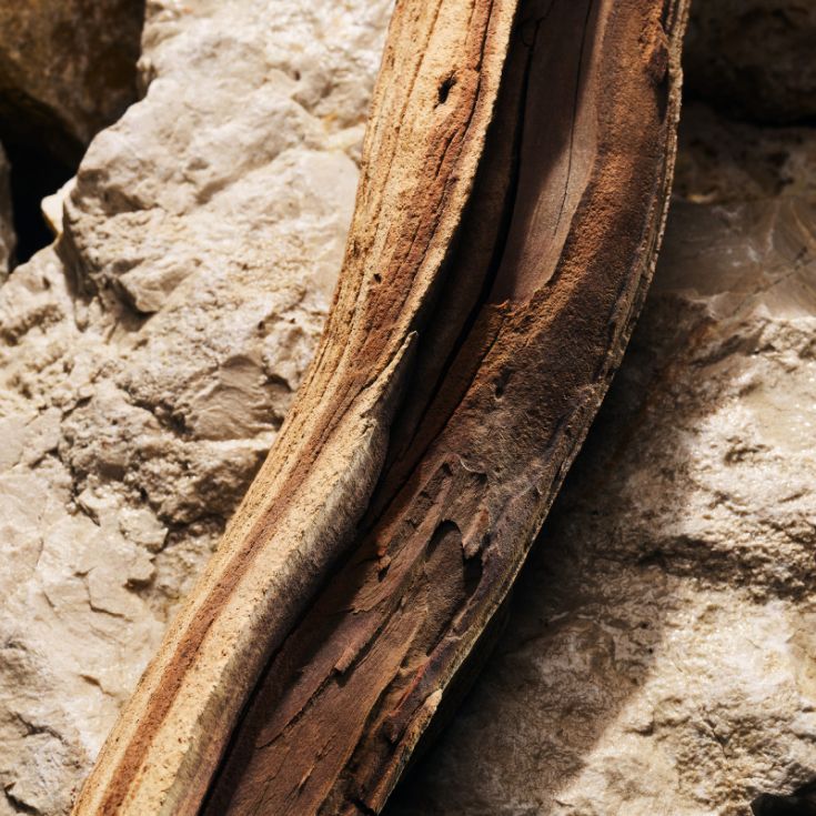 d&g light blue homme eau de parfum 