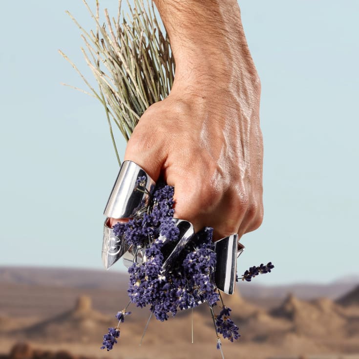 dolce gabbana k eau de toilette