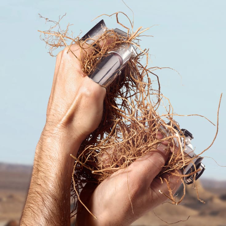 dolce gabbana k eau de toilette