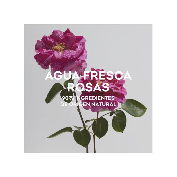 adolfo dominguez agua fresca rosas eau de toilette