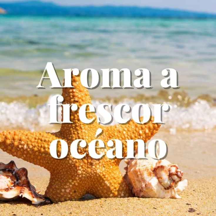 oriendo pinza antipolilla frescor oceano 2 unidades