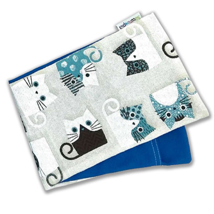  sacoterapia basico plus azul gato+funda