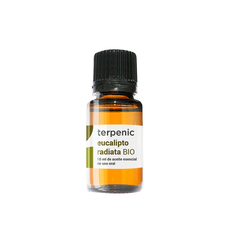 terpenic aceite esencial eucalipto radiata bio 10ml