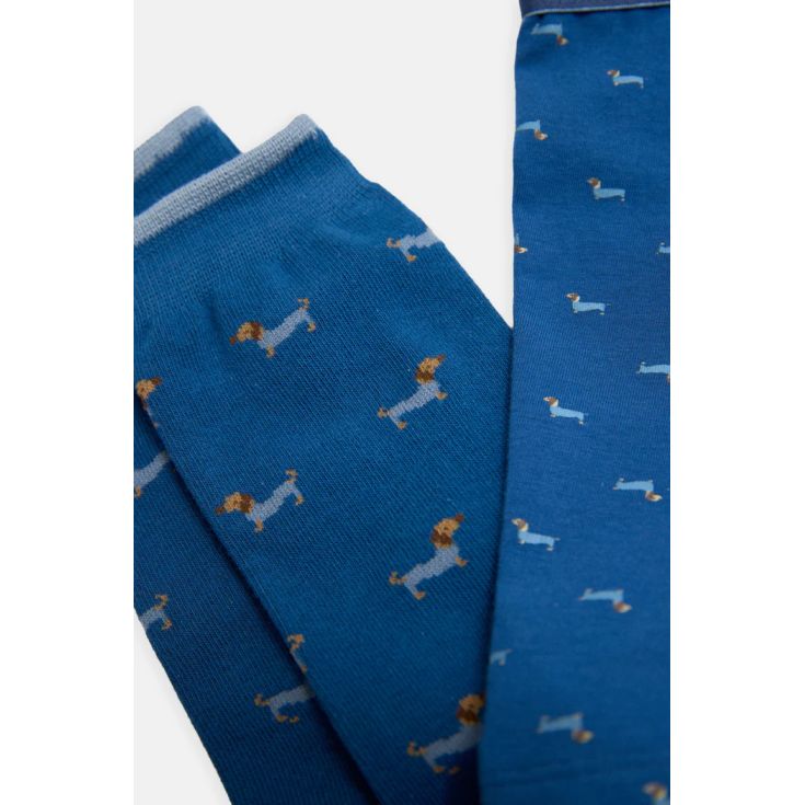 ysabel mora pack boxer y calcetines perro salchica