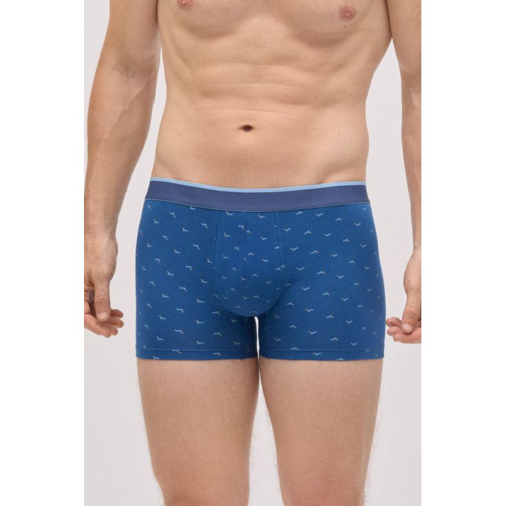 ysabel mora pack boxer y calcetines perro salchica