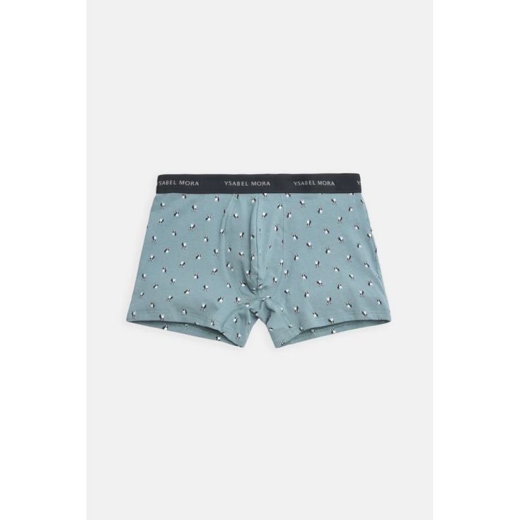 ysabel mora boxer pack-2 perritos
