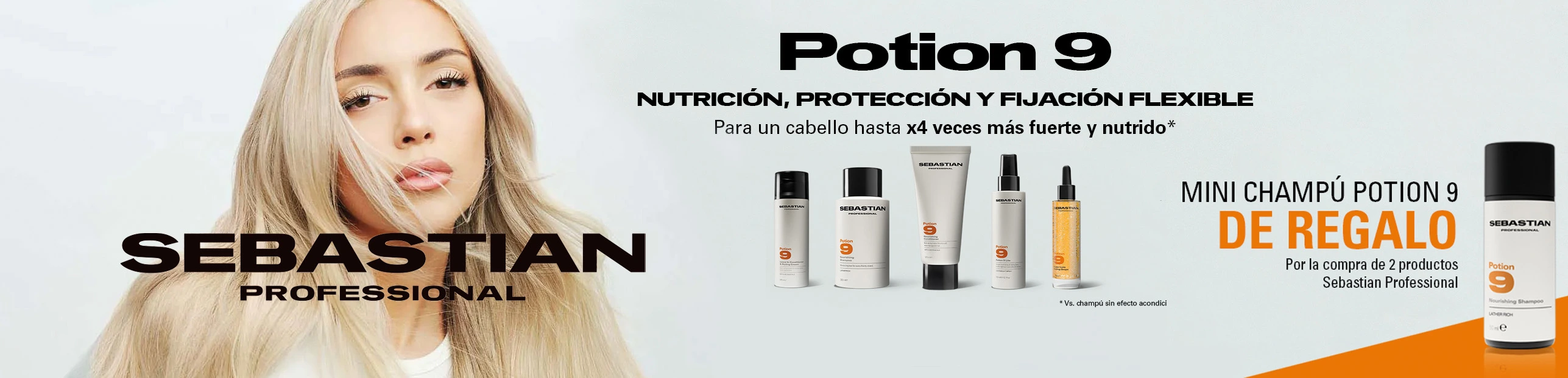 Sebastian professional