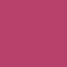 MAYBELLINE SUPERSTAY VINYL INK 165