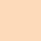 LOREAL CONCEALER ACCORD 4N