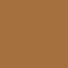 LOREAL CONCEALER ACCORD 9N