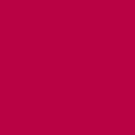 CLARINS BRILLO WATER LIP STAIN 04*R