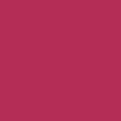 LOREAL COLOR RICHE LIP LINER COUT 127*R