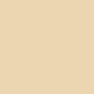 ESSENCE CORRECTOR ESSENCE CORRECTOR 15*R