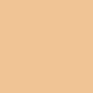SENSAI FUNDATION TOTAL FINISH TF202 11G