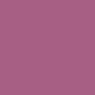 DARE BARRA LABIOS MATTE 05*