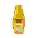 THE FRUIT C.COL.MANGO 40 VAP.